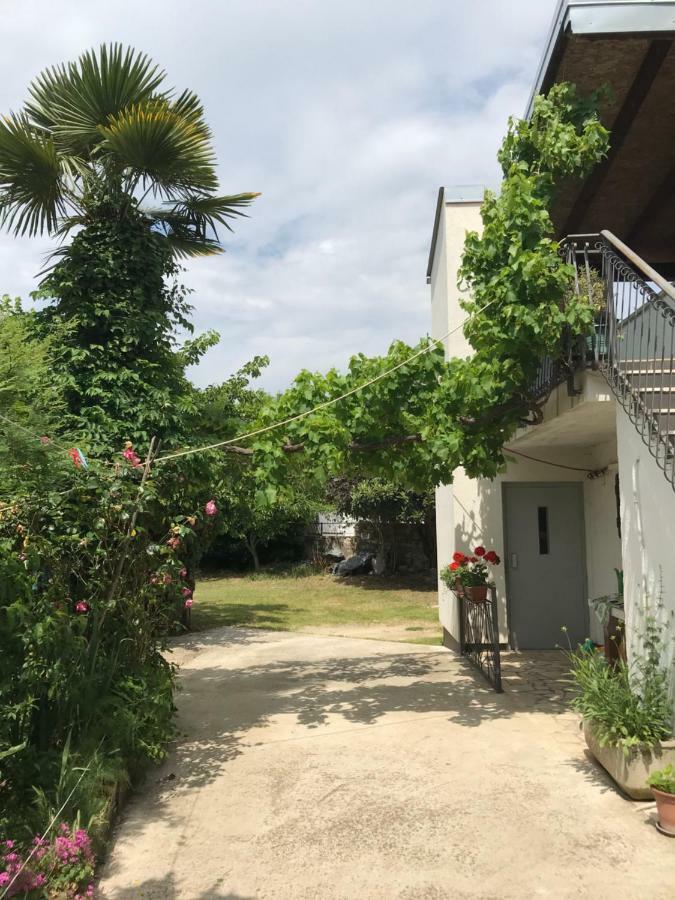 Apartment Jonas Ρόβινι Εξωτερικό φωτογραφία
